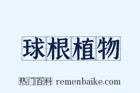 球根植物是什么意思的图片